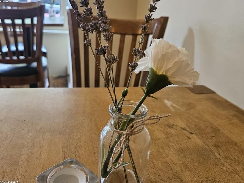 Kafe köşesi